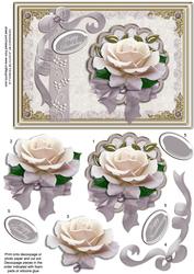 Cream Rose on Lace