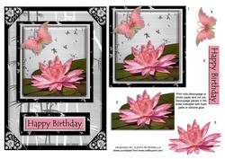 Oriental Water Lily