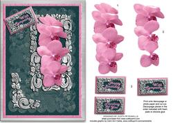 Pink Orchids with Sympathy