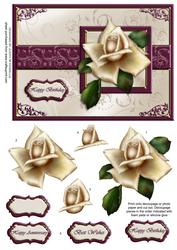 Burgandy and Cream Rose