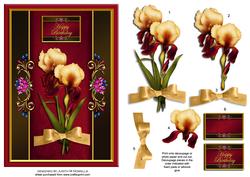 Gold and Red Iris Pair