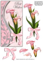 Pink Lilies Dl Card