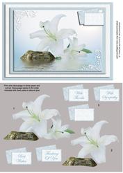 White Flowers on Tranquil Blue