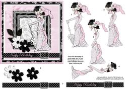 Black and White Pink Lady