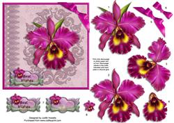 Beautiful Orchid and Embroidery