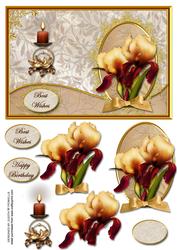 Iris Wavy Edge Card