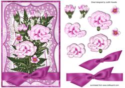 Pink Carnations Bow Wrap Card Front