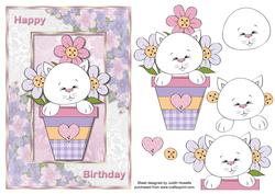 Kitten in Flowerpot Birthday Card Front