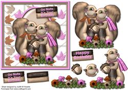 Go Nuts on Your Birthday Square Card Front