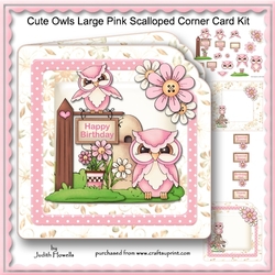 Cute Owls Large Pink Scalloped Corner Card Kit