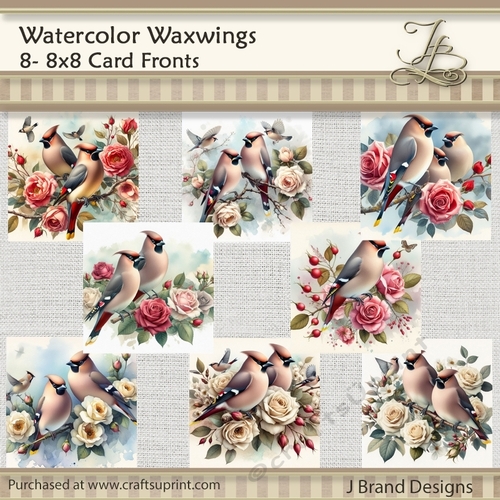 Watercolor Waxwings