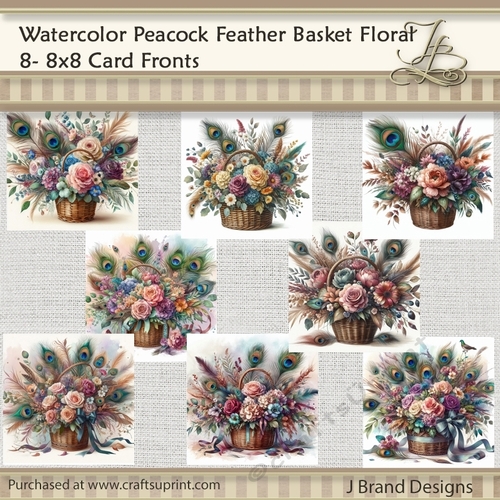 Watercolor Peacock Feather Basket Florals