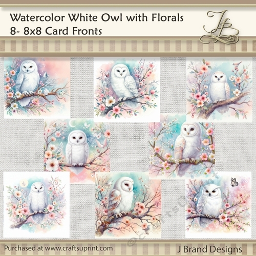 Watercolor White Owls with Florals