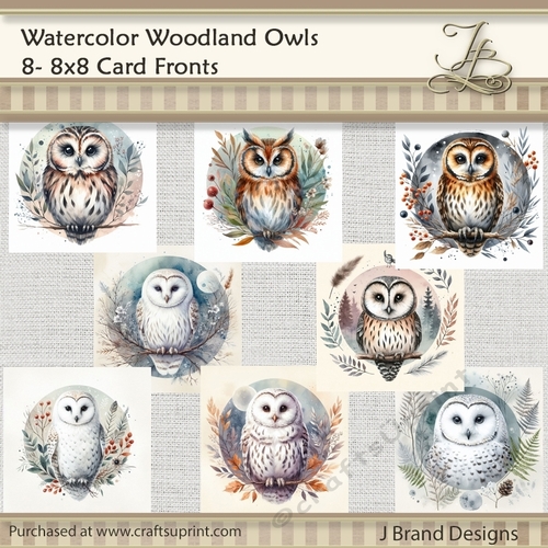 Watercolor Woodland Owls