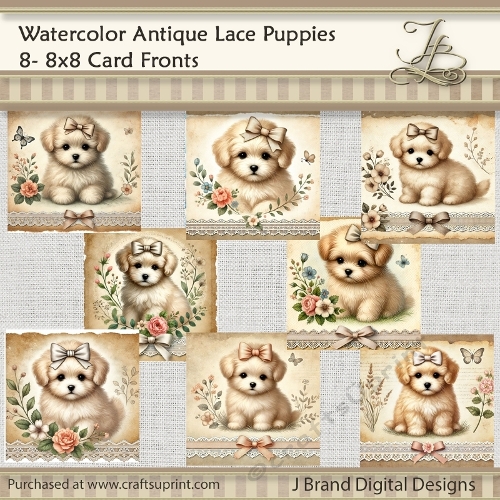 Watercolor Antique Lace Puppy