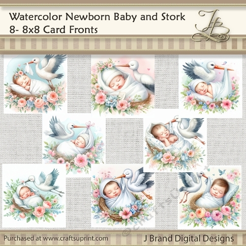 Watercolor Newborn Baby and Stork