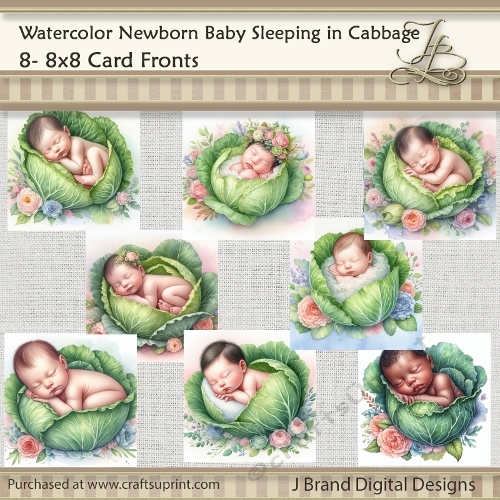 Watercolor Newborn Baby in Cabbage Patch