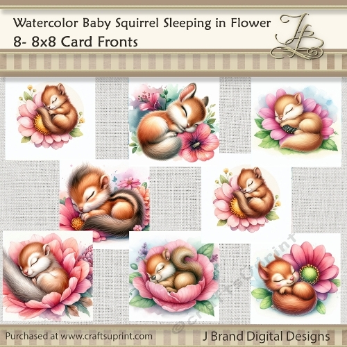 Watercolor Baby Squirrel Sleeping in Flower
