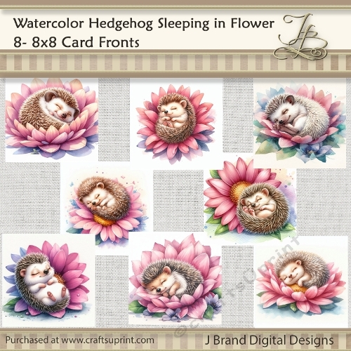 Watercolor Baby Hedgehog Sleeping in Flower