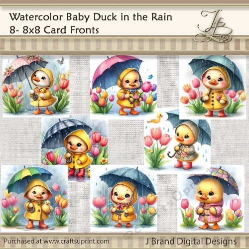 Watercolor Spring Baby Duck in the Rain