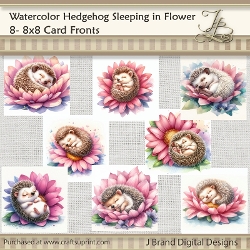 Watercolor Baby Hedgehog Sleeping in Flower