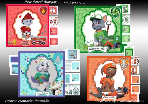 Paw Patrol 5-8 
