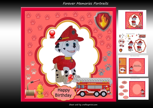 Paw Patrol 5