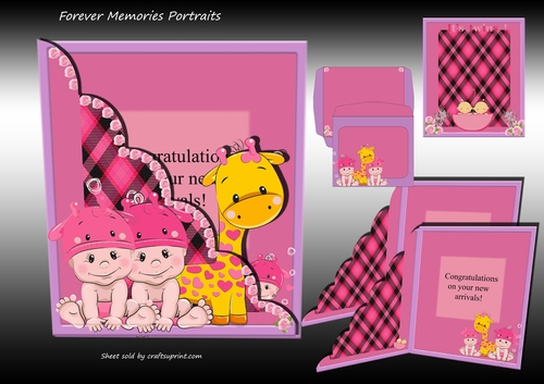 New Baby Twins Pink
