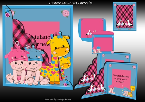 New Baby Twins Pink and Blue
