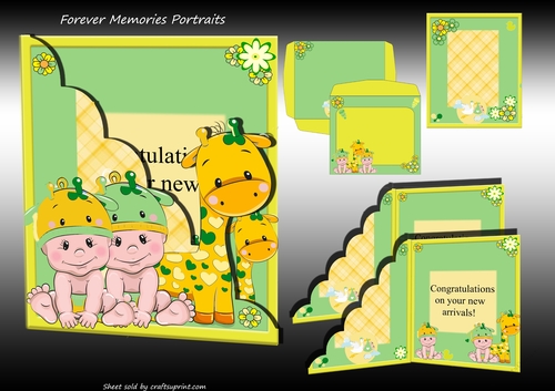 New Baby Twins Neutral