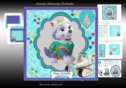 Paw Patrol 6
