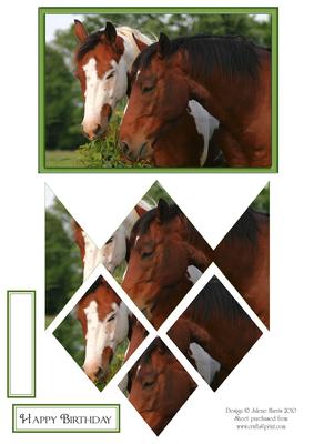 Portrait of Horses - Diamond Stacker Card