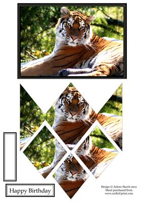 Majestic Tiger - Diamond Stacker Card