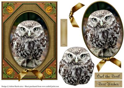 Owl Eyes on You - Decoupage Card