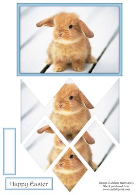 Beautiful Baby Bunny - Diamond Stacker Card