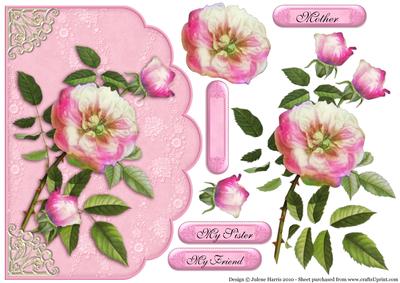 Soft Pink Rose Petals - Scalloped Edge Card