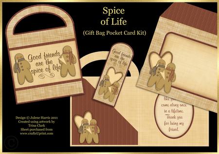 Spice of Life - Gift Bag Pocket Card Kit