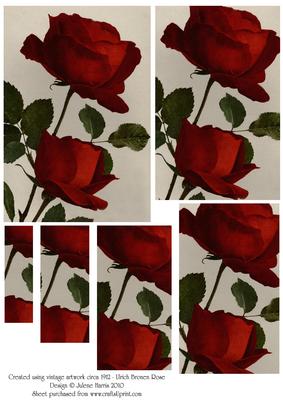 Ulrich Bronen Red Rose - Pyramid