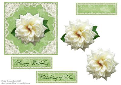 White Rose with Lace - Decoupage Card