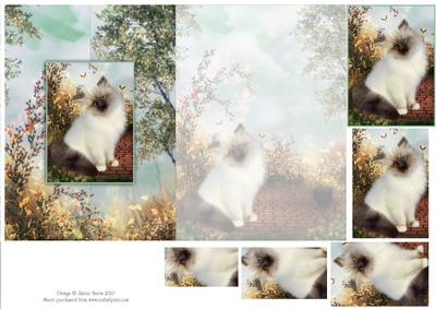 Graceful Kitten on the Terrace - Foldback Card