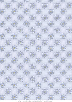 Blue Poinsettia - Background Paper