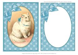 Sophisticated Cat in Blue Ribbon - Framed Card Front