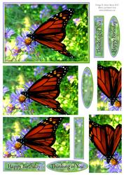 Beautiful Butterfly on Purple Flower - Pyramid