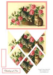Kittens in the Roses - Diamond Stacker Card