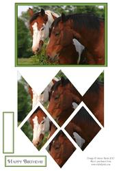 Portrait of Horses - Diamond Stacker Card