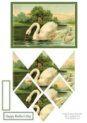 Mother Swan and Cygnets - Diamond Stacker Card