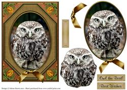 Owl Eyes on You - Decoupage Card