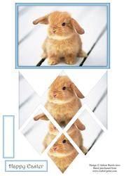 Beautiful Baby Bunny - Diamond Stacker Card