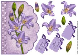 Lovely Lavender Lilies - Scalloped Edge Card