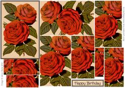 Red Roses in Bloom - Pyramid